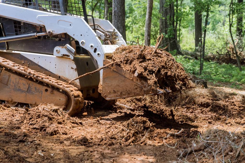A bulldozer clearing brush from a forest floor.