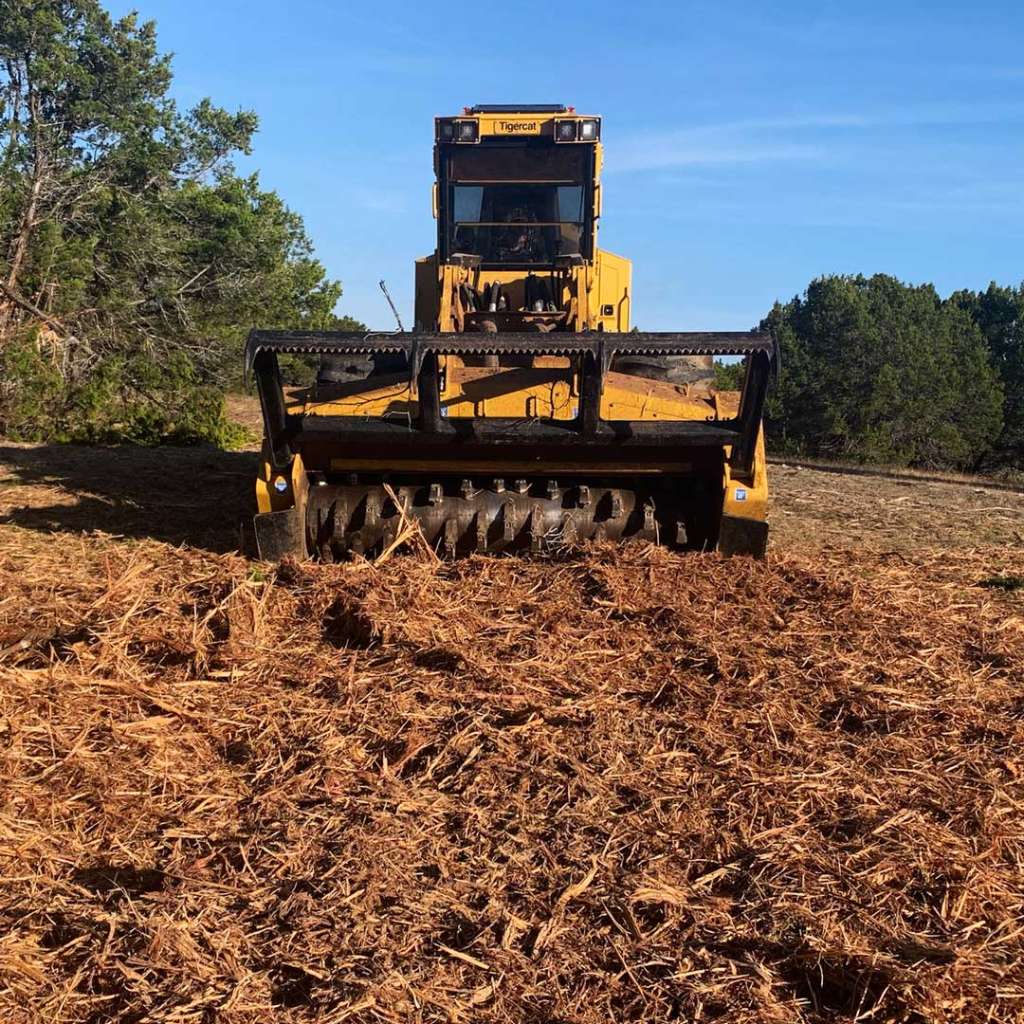 Tigercat forestry mulcher grinding wood and brush during land clearing project