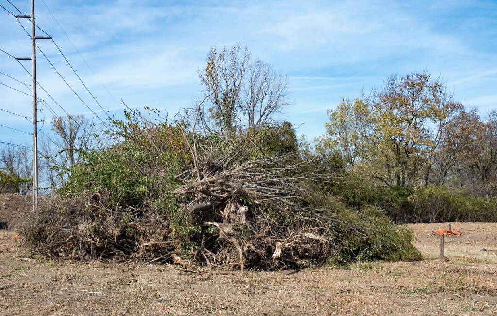 A large pile of trees and debris.