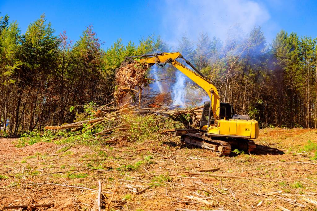 Heavy machinery clearing trees.